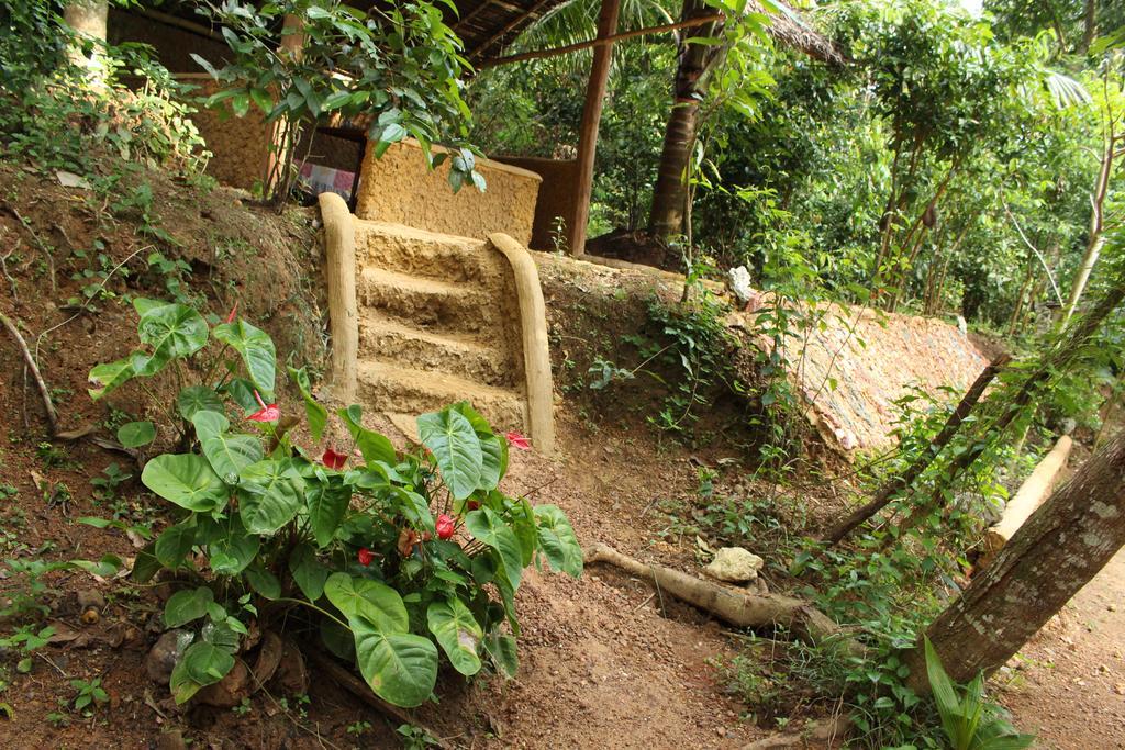 Abberny villa Midigama East Rum bild