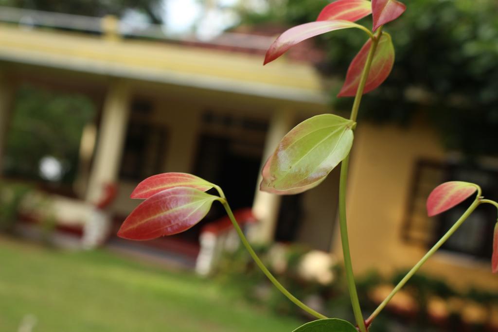 Abberny villa Midigama East Rum bild