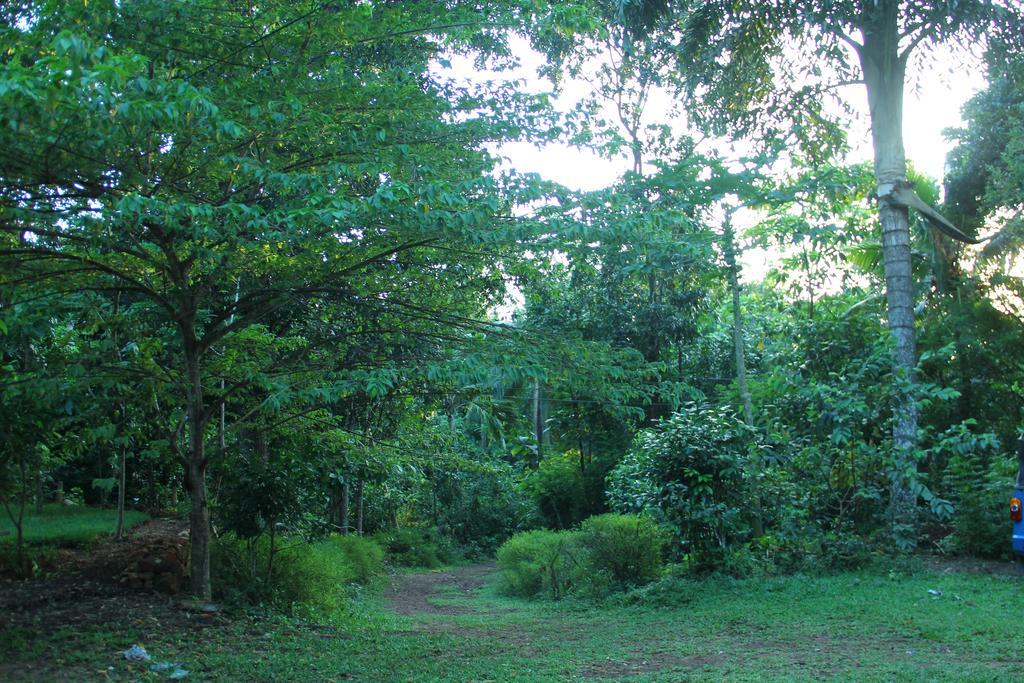 Abberny villa Midigama East Rum bild