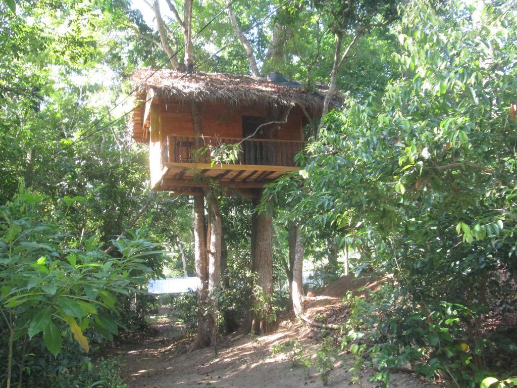Abberny villa Midigama East Exteriör bild